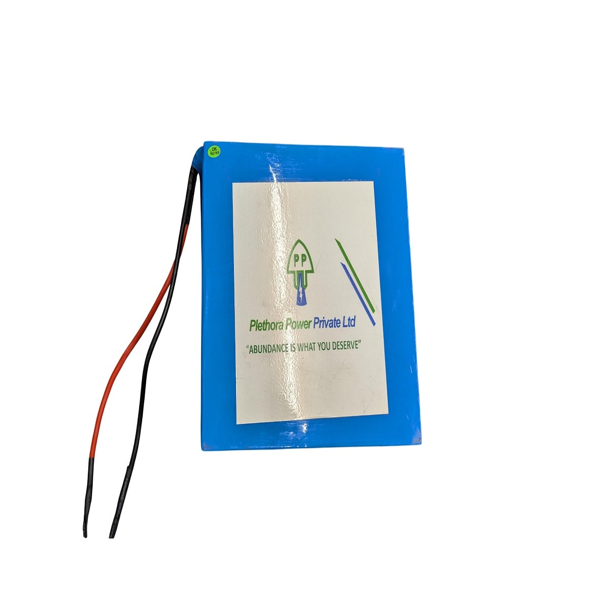 Plethora Power 1.8kWh 37V Lithium Ion Battery