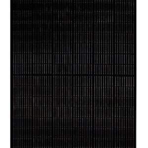 REC TwinPeak4 365W Black 120 Half-Cut Mono Module