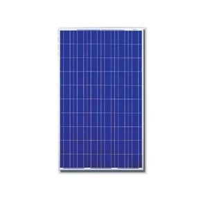 Canadian Solar 210W Poly Solar Panel Image