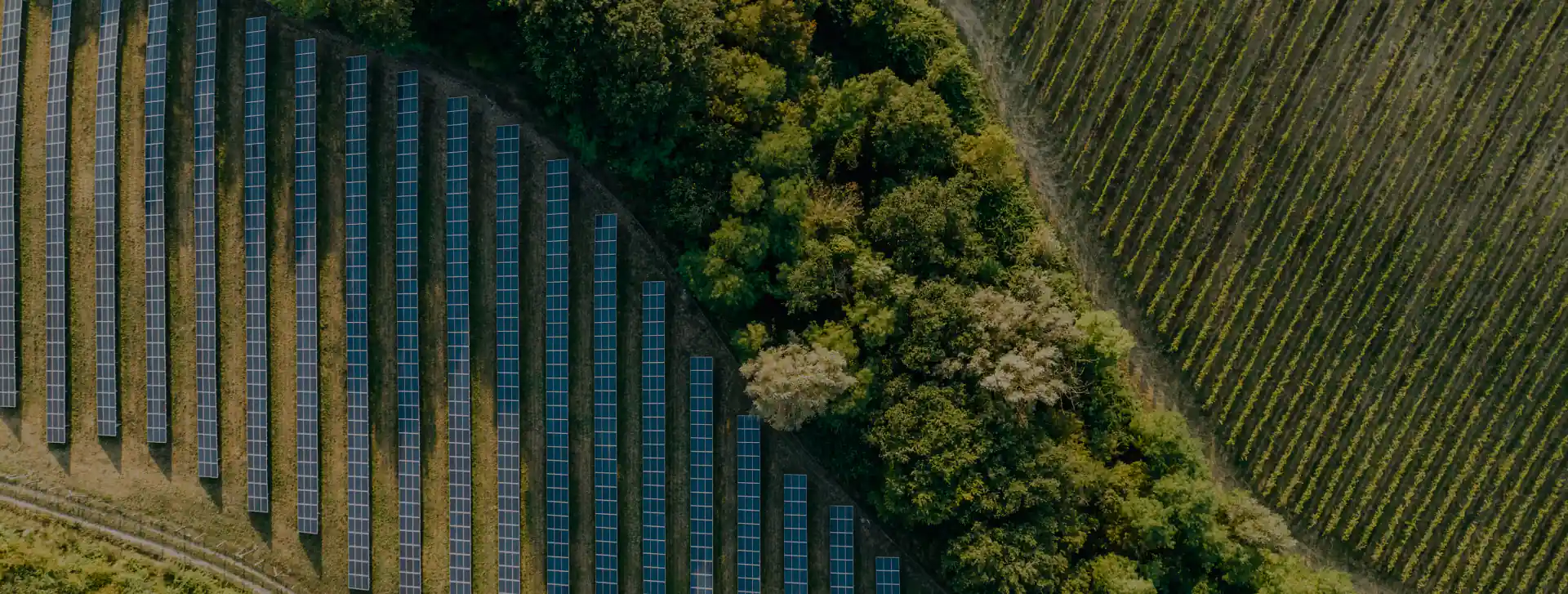 Solar Farm